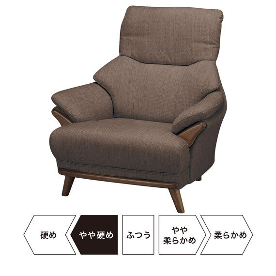 1S-SOFA KOTEI3 DR-DMO