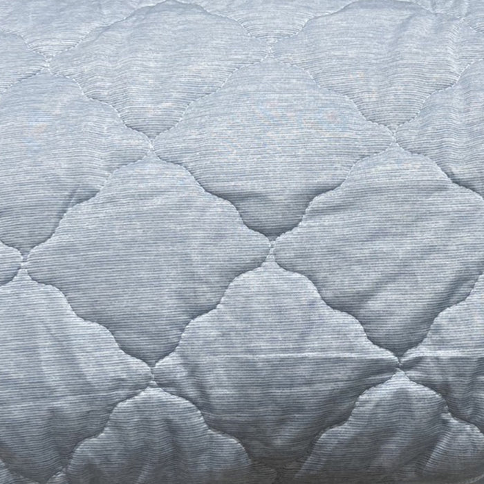 WHOLE PILLOW PAD N COOL BL S2401