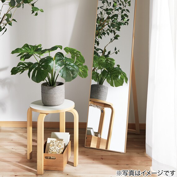 60CM MONSTERA IN CEMENT POT HA47139GN