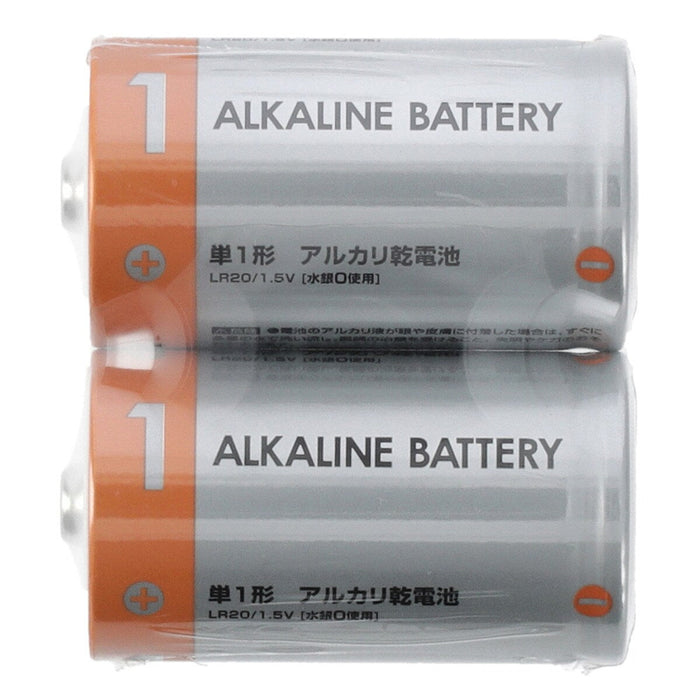 ALKALINE BATTERY LR20/2P NP1