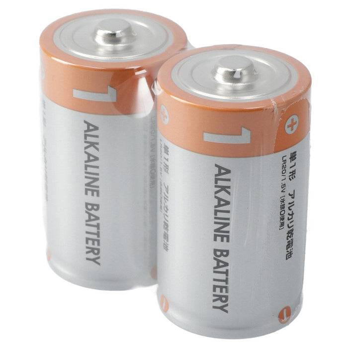 ALKALINE BATTERY LR20/2P NP1