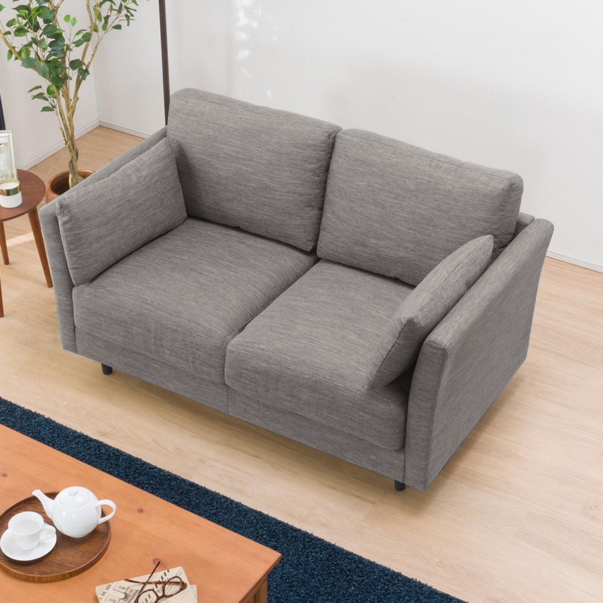 2 SEAT SOFA CA10 DR-GY