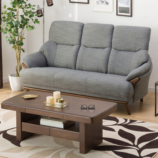 3S-SOFA KOTEI3 DR-GY