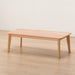 CENTER TABLE COLLECTION120 T-01 NA