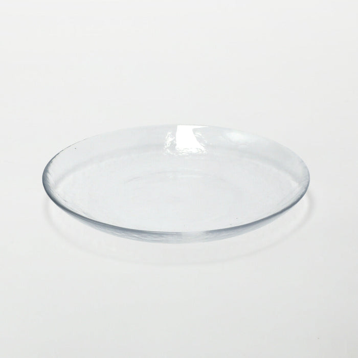 GLASS PLATE NTM09